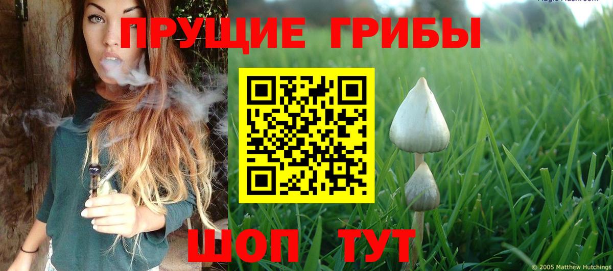 Тельмана  Галлюциногенные грибы мухоморы  Псилоцибиновые грибы мицелий  Вход с VPN 